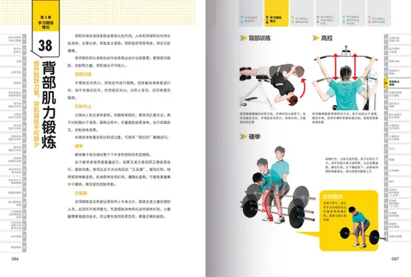k1体育：从入门到精通，运动健身的全面指南